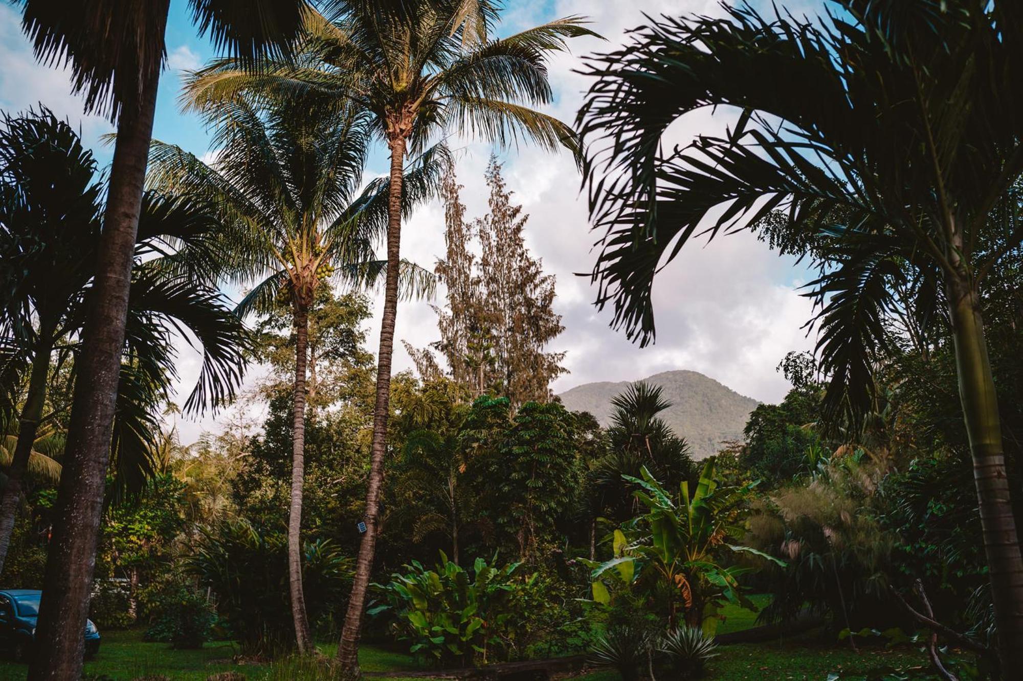 West Indies Cottage Pointe-Noire Exterior foto